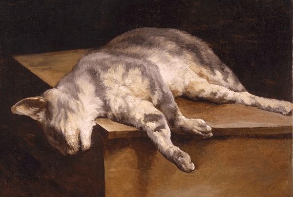  Soñar con un gato - ¿Qué significa? Conoce su significado