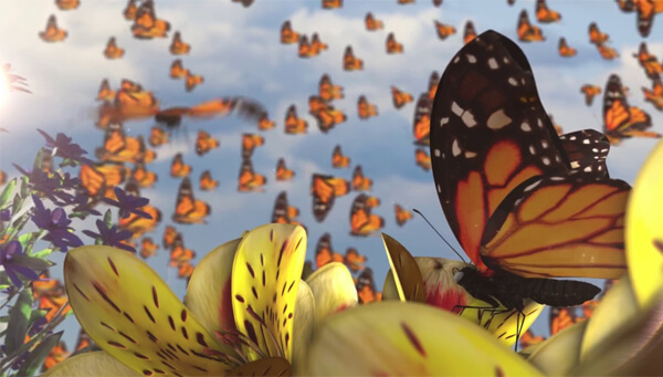  To Have a Dream met vlinder - Geel, blauw, zwart, wit: Wat betekent het?