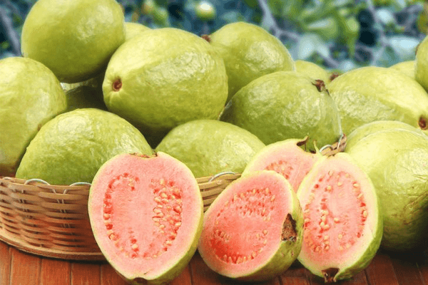  Sanjati guavu: što to znači?