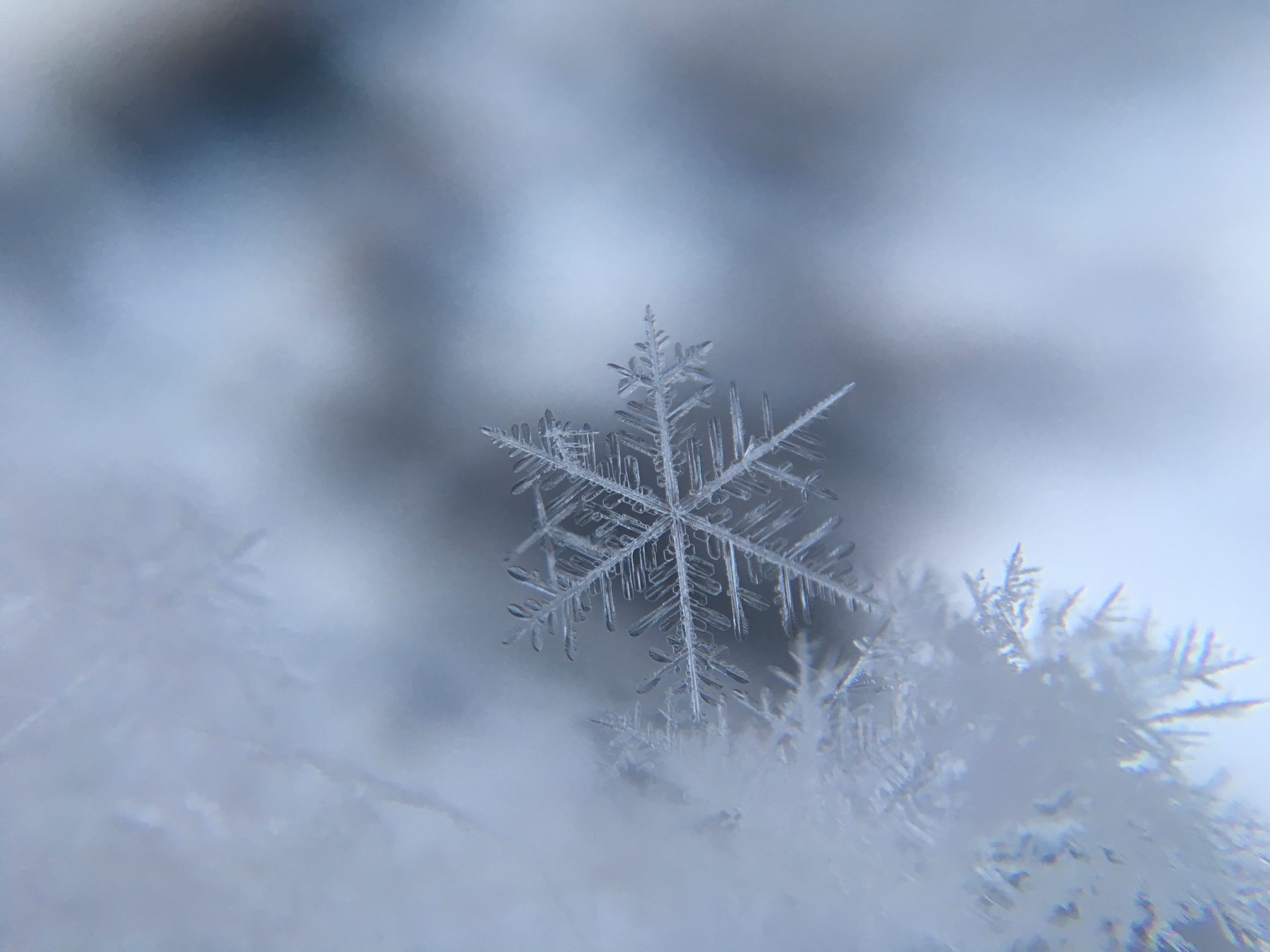  Träumen von Schnee: 10 Bedeutungen, die am häufigsten in TÄUMEN vorkommen