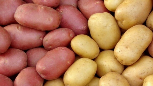  Rêver de pommes de terre : Que cela signifie-t-il ? Tous les résultats, ici !