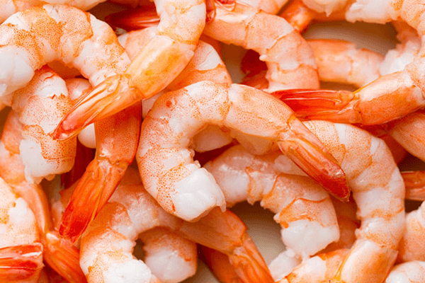  Kuota juu ya shrimp: inamaanisha nini? Tazama zaidi hapa!