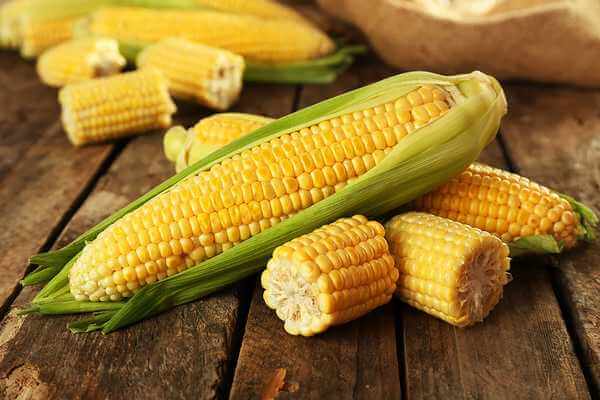  Snít o zelené kukuřici: Co to znamená? Je to dobré nebo špatné? Významy, zde!