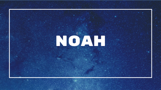  Noah - betsjutting, oarsprong en persoanlikheid fan 'e namme